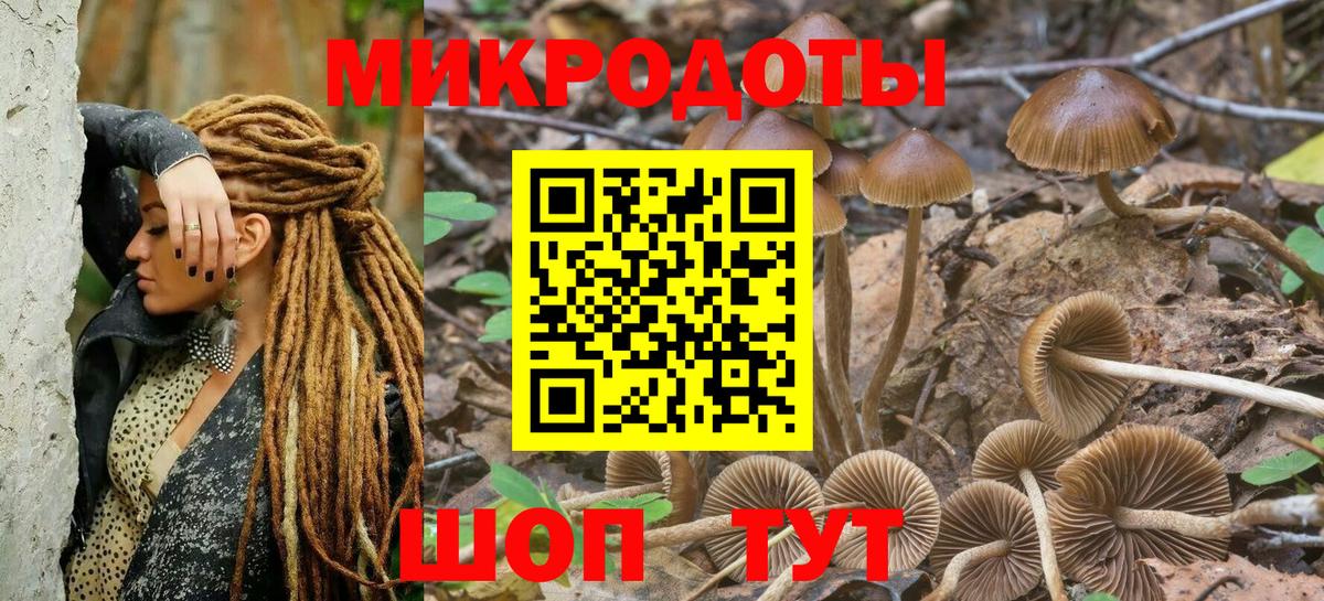 Галлюциногенные грибы Psilocybine cubensis Киржач