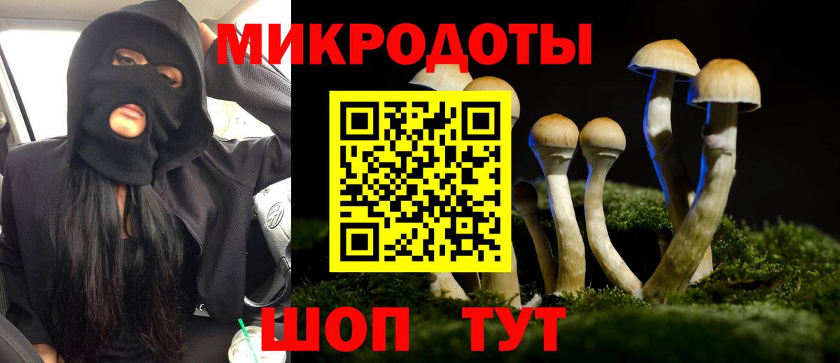 Киржач  Псилоцибиновые грибы Psilocybe  Вход с VPN  Галлюциногенные грибы Psilocybe 